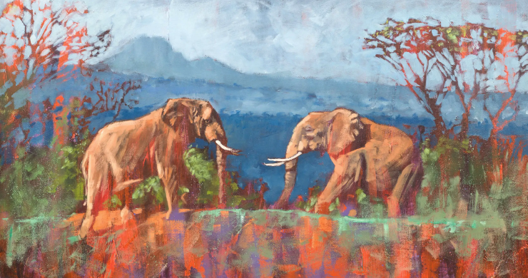 safari